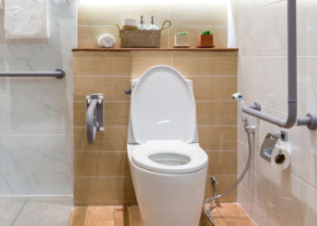 vaso sanitário e barras de apoio para banheiro para idoos